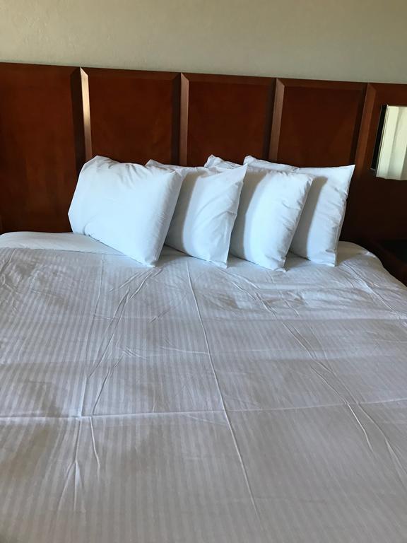 Extend-A-Suites Phoenix Kültér fotó